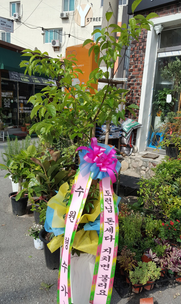업로드 이미지