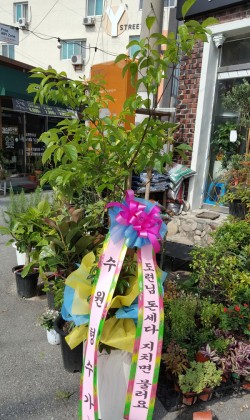 배송사진