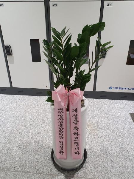 업로드 이미지