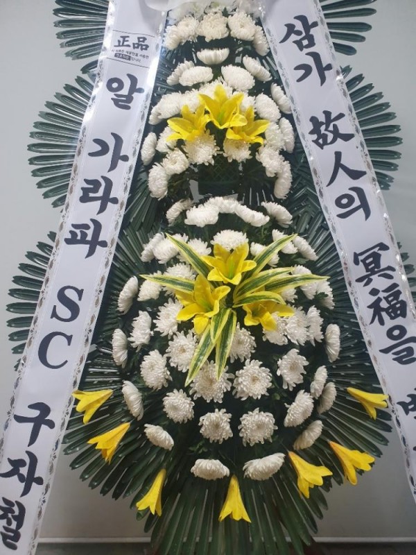 업로드 이미지
