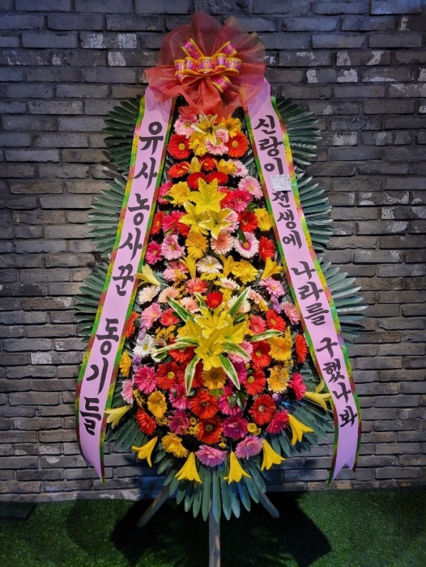 업로드 이미지