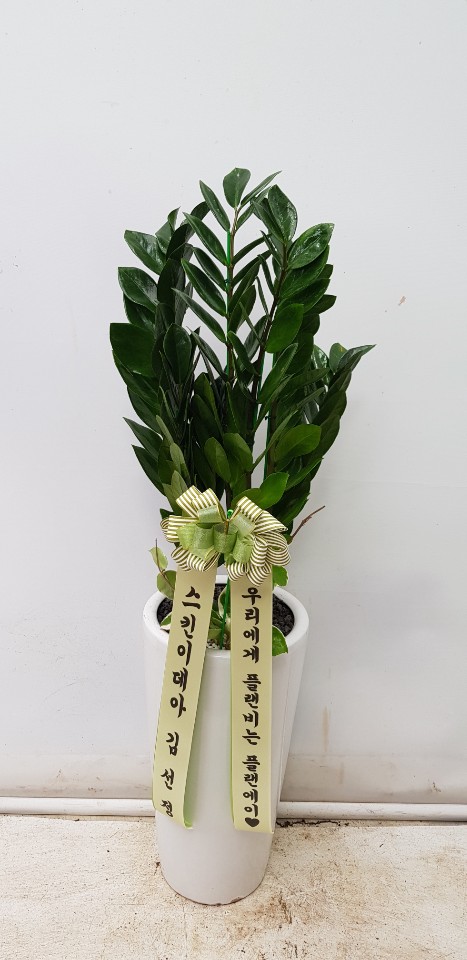 업로드 이미지