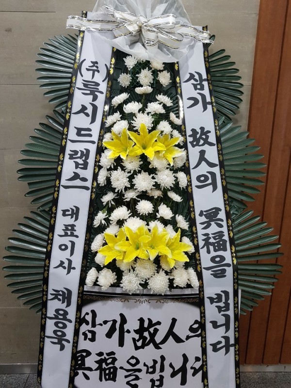 업로드 이미지