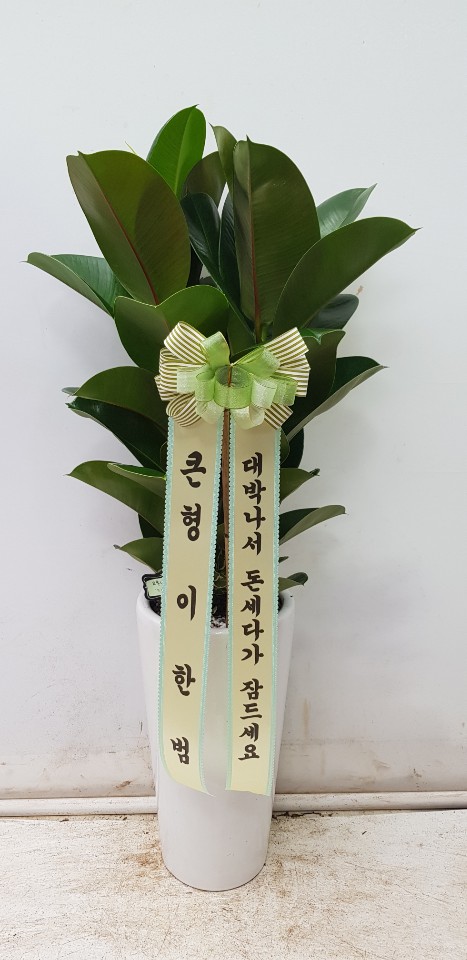 업로드 이미지