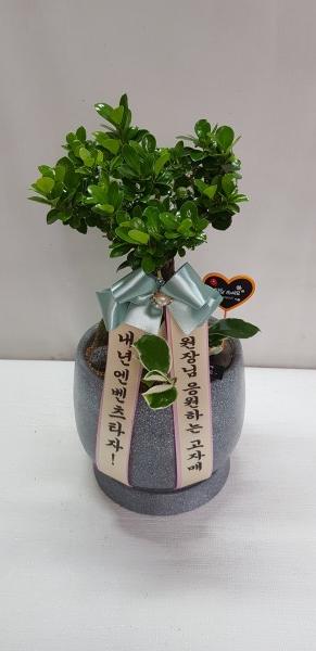 업로드 이미지