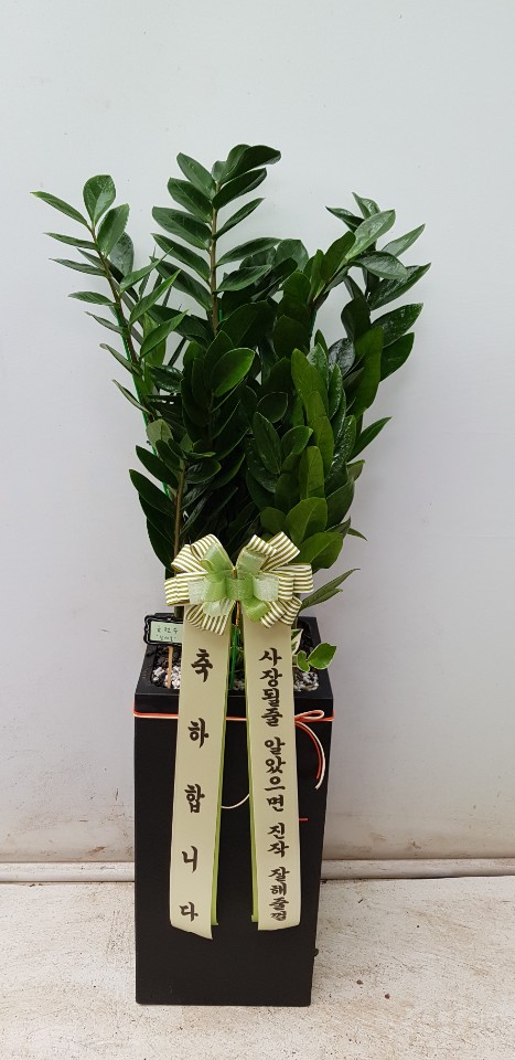 업로드 이미지