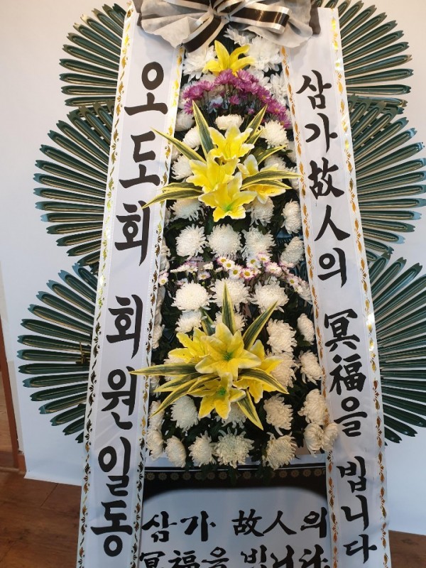 업로드 이미지