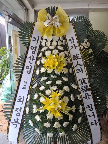 업로드 이미지