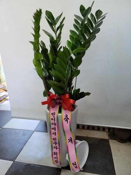 업로드 이미지