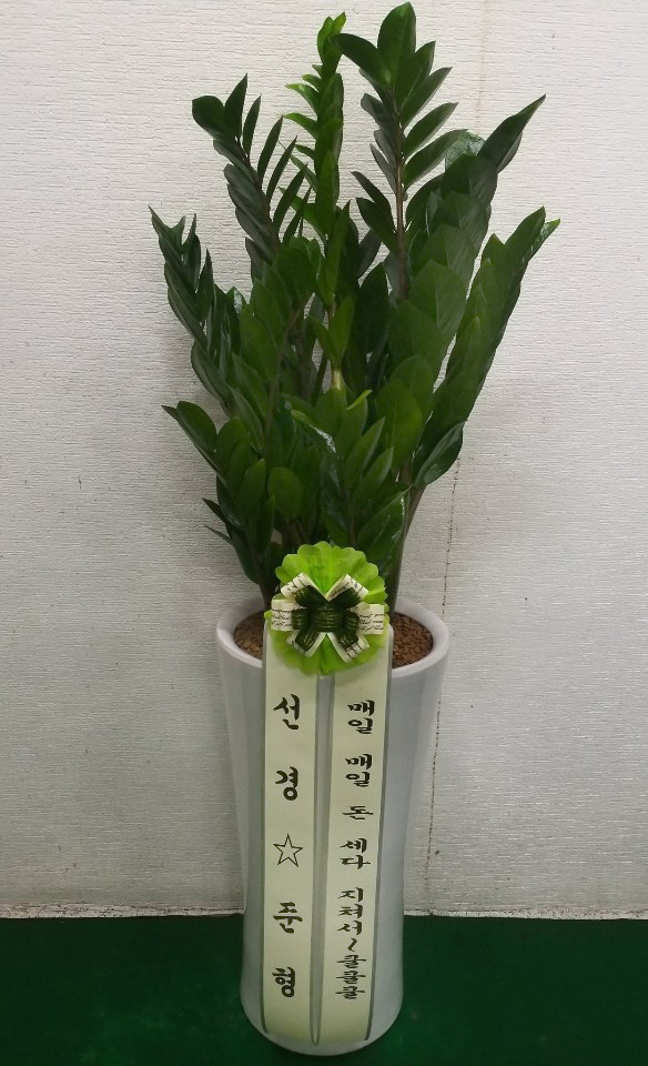 업로드 이미지