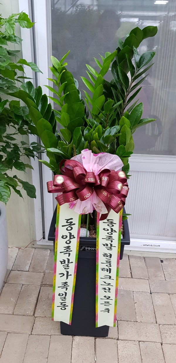 업로드 이미지