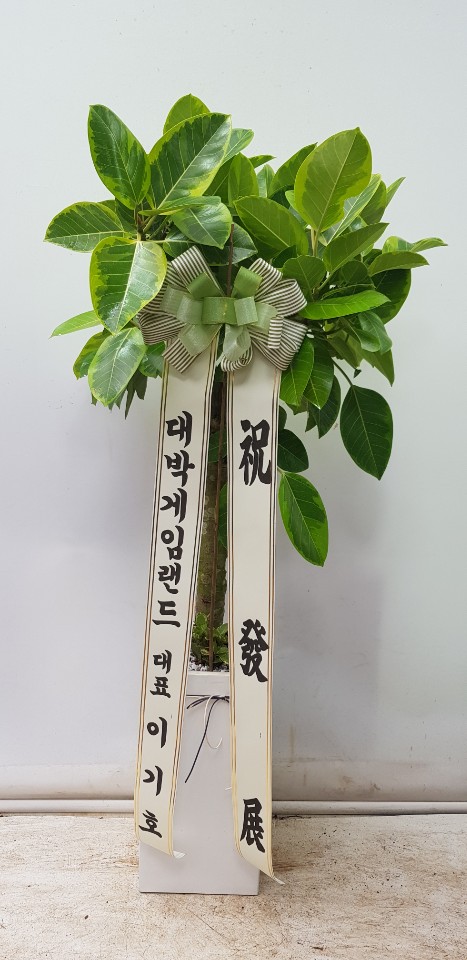 업로드 이미지