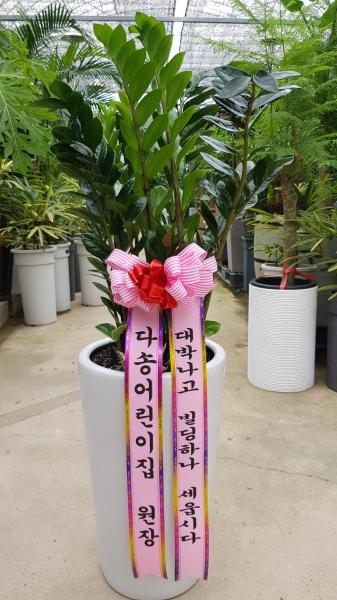 업로드 이미지