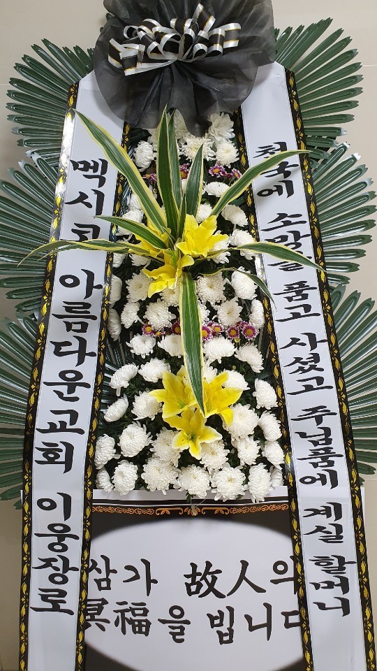 업로드 이미지