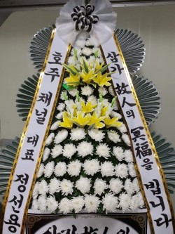 배송사진