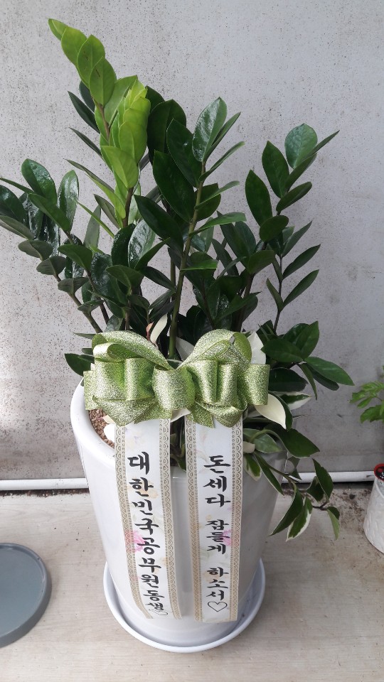 업로드 이미지