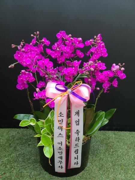 업로드 이미지