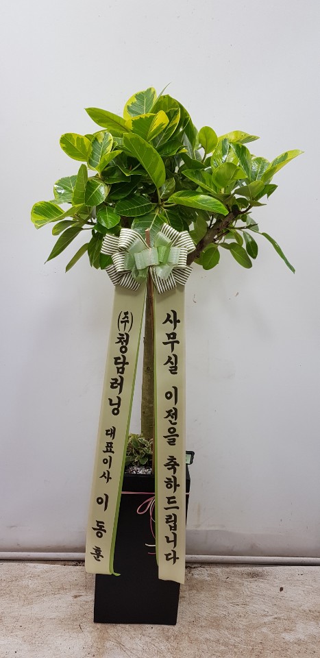 업로드 이미지