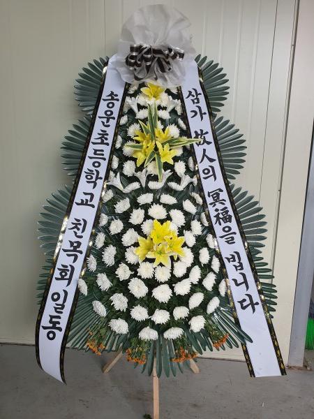 업로드 이미지