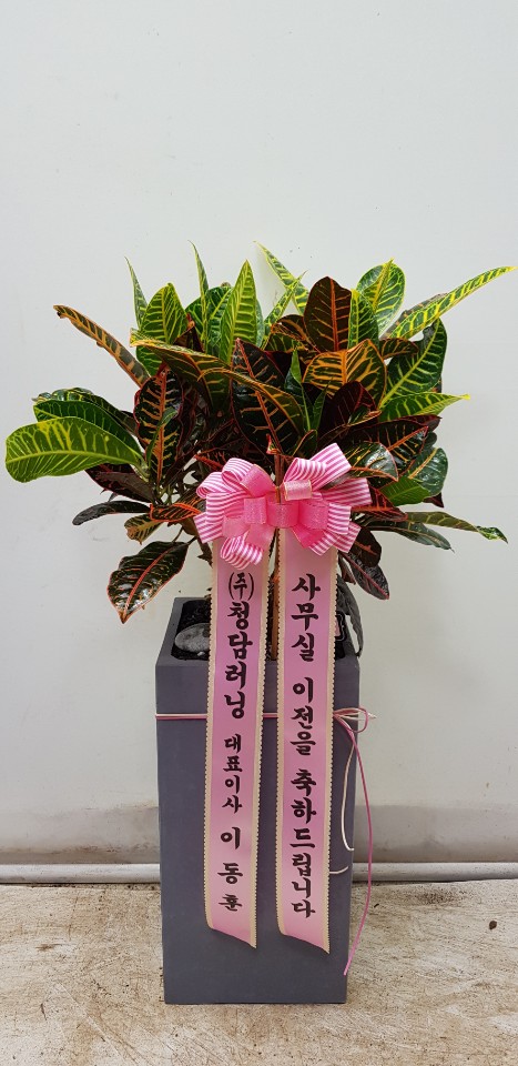 업로드 이미지