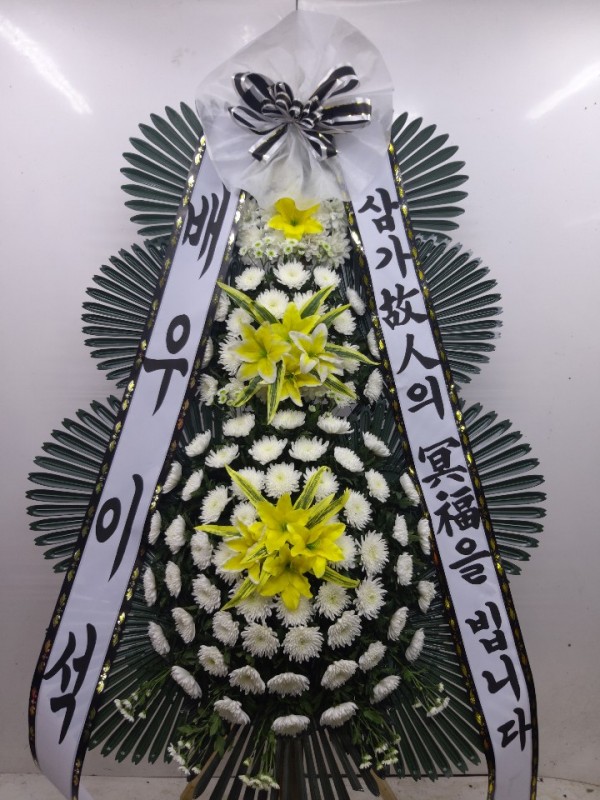 업로드 이미지
