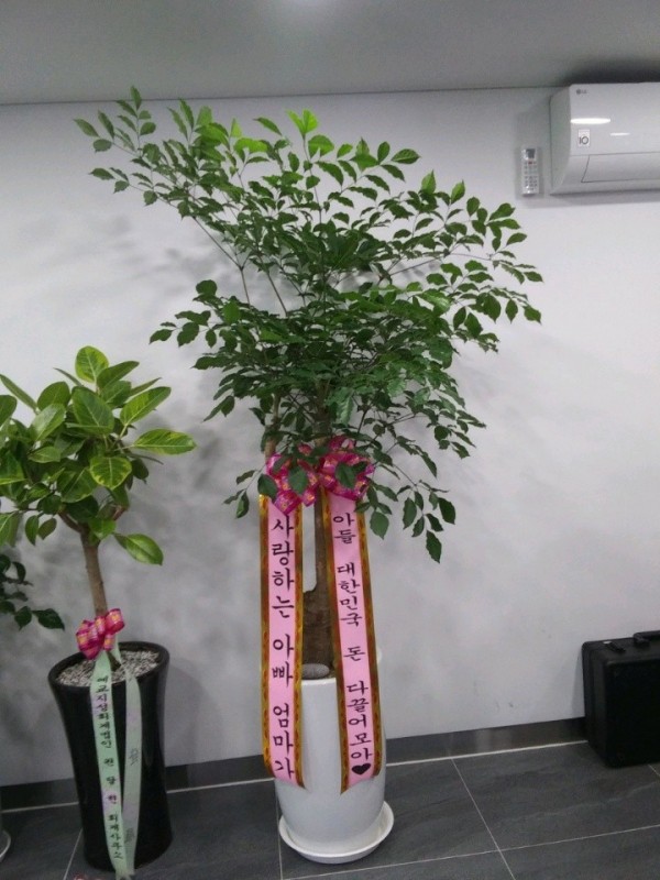 업로드 이미지