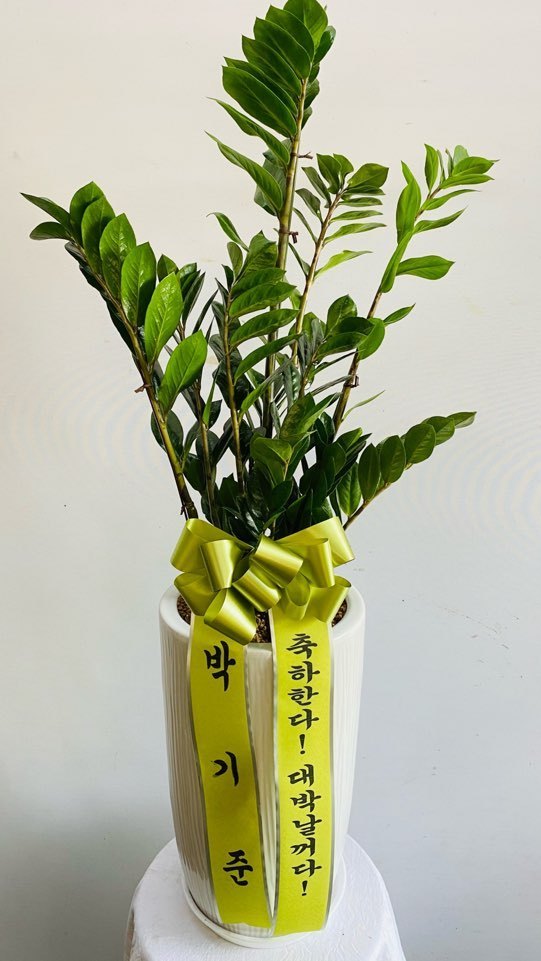 업로드 이미지