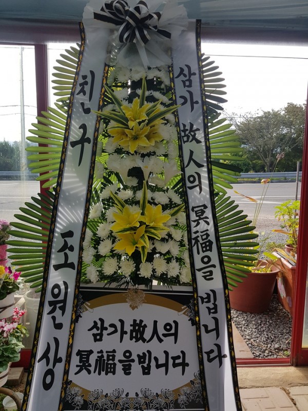 업로드 이미지