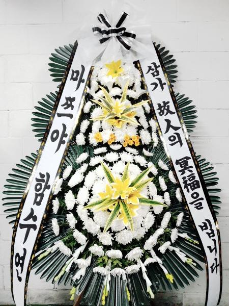 업로드 이미지
