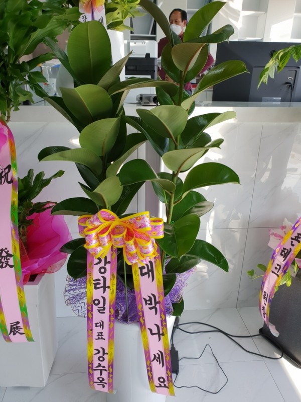 업로드 이미지