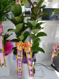 배송사진