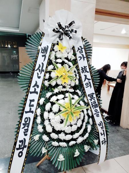 업로드 이미지