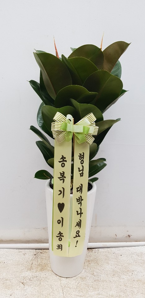 업로드 이미지
