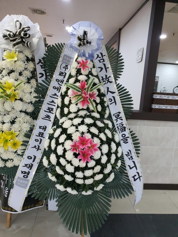 업로드 이미지
