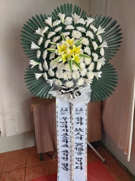 업로드 이미지