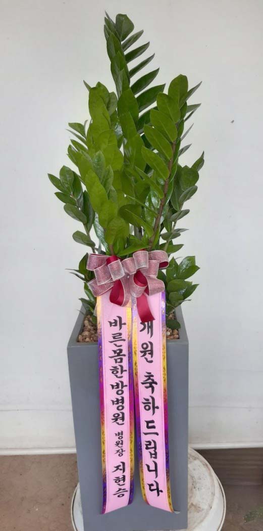 업로드 이미지