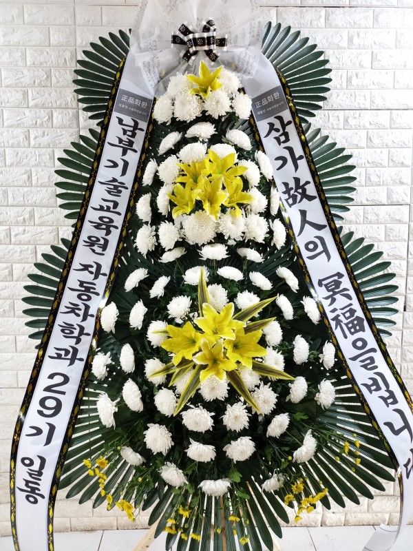 업로드 이미지
