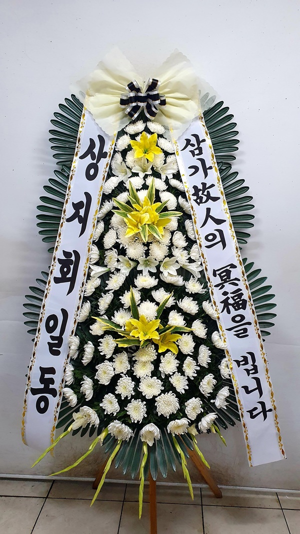 업로드 이미지