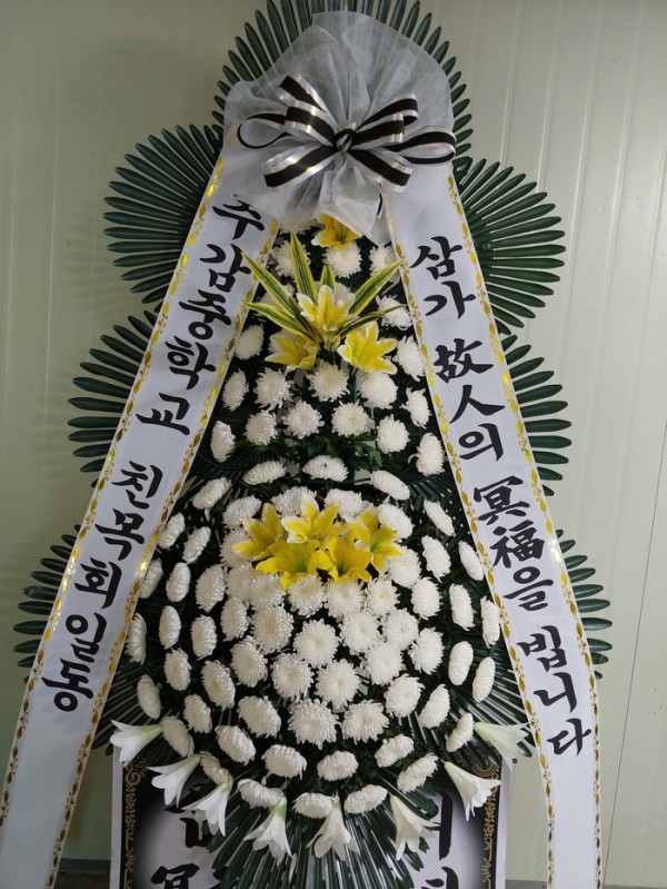 업로드 이미지