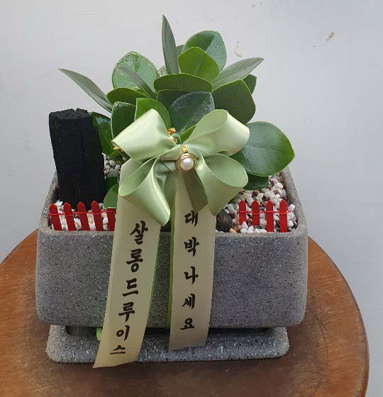 업로드 이미지
