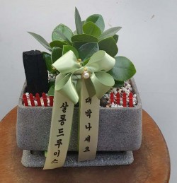배송사진