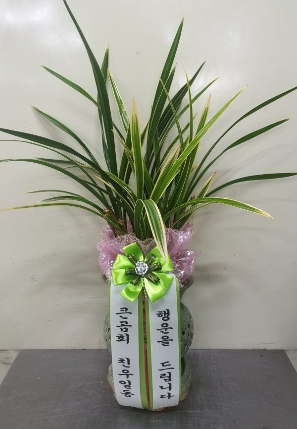 업로드 이미지