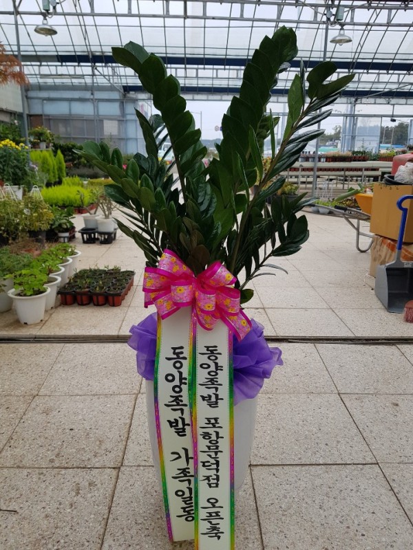 업로드 이미지
