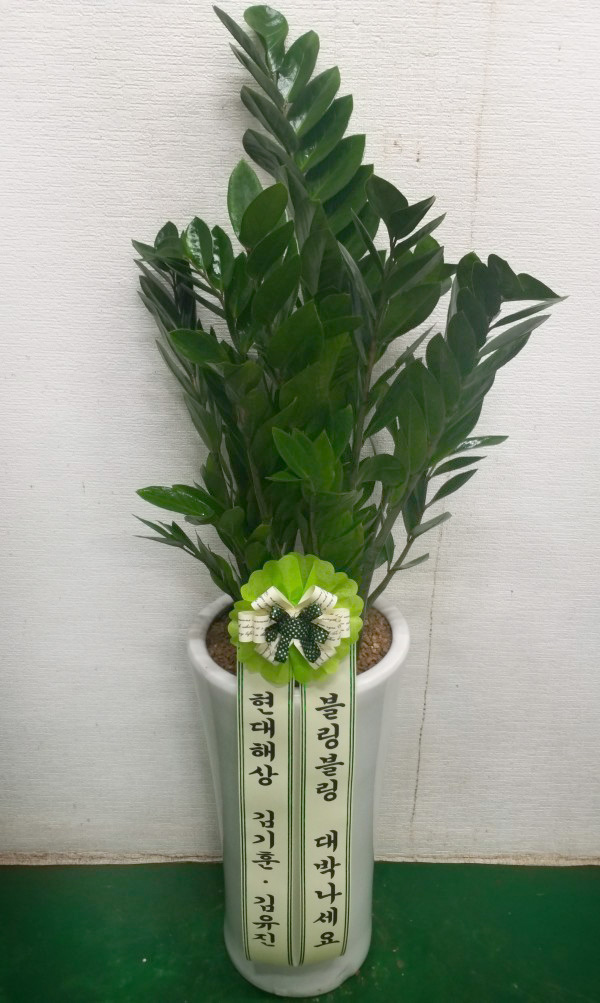 업로드 이미지