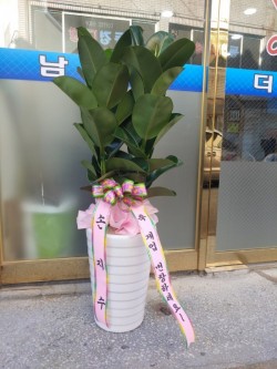 배송사진