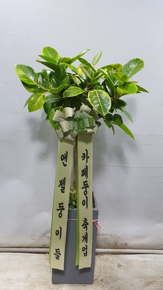 업로드 이미지