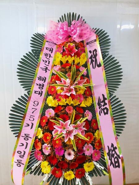 업로드 이미지