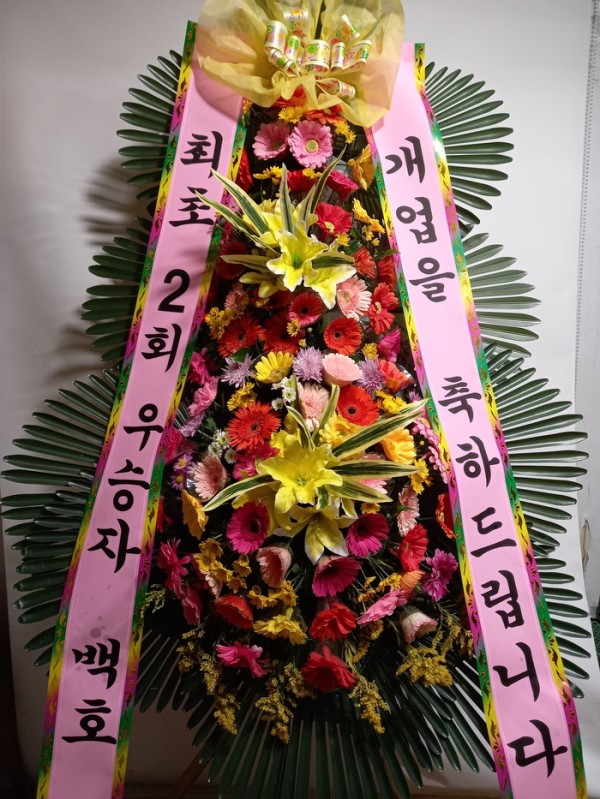 업로드 이미지
