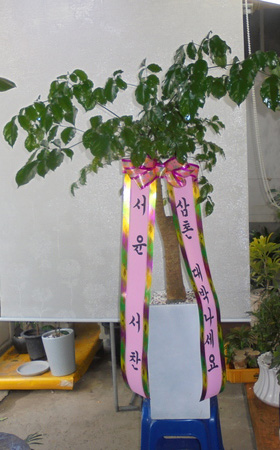 업로드 이미지