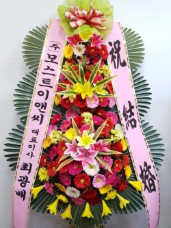 배송사진